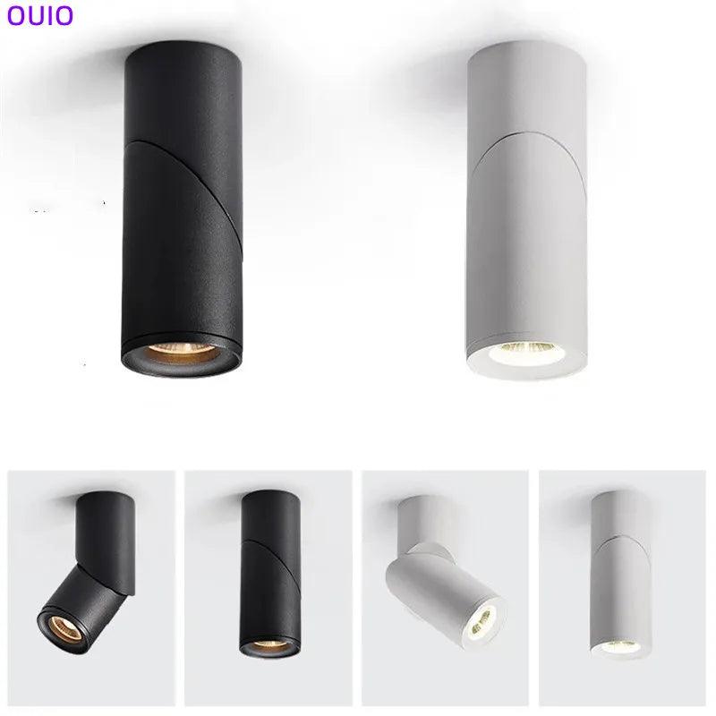 Spot Lumineux LED à Intensité Réglable pour le Plafond Montage en Surf –  Trend Pulse Shop